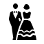 Wedding Dress Press Icon